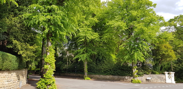 Fwd: Nether Edge			
					</div><!-- .entry-content -->
		
		<footer>
		
		
		
					
					</footer><!-- .entry-meta -->
	</article><!-- #post -->
				
											
				
		
<hr class=