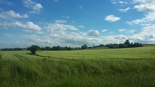 Fwd: View from the A619 by Lewis London			
					</div><!-- .entry-content -->
		
		<footer>
		
		
		
					
					</footer><!-- .entry-meta -->
	</article><!-- #post -->
				
											
				
		
<hr class=