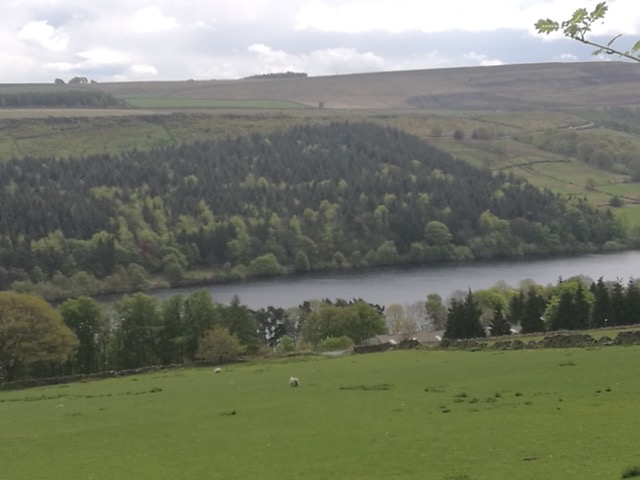 Fwd: Strines			
					</div><!-- .entry-content -->
		
		<footer>
		
		
		
					
					</footer><!-- .entry-meta -->
	</article><!-- #post -->
				
											
				
		
<hr class=