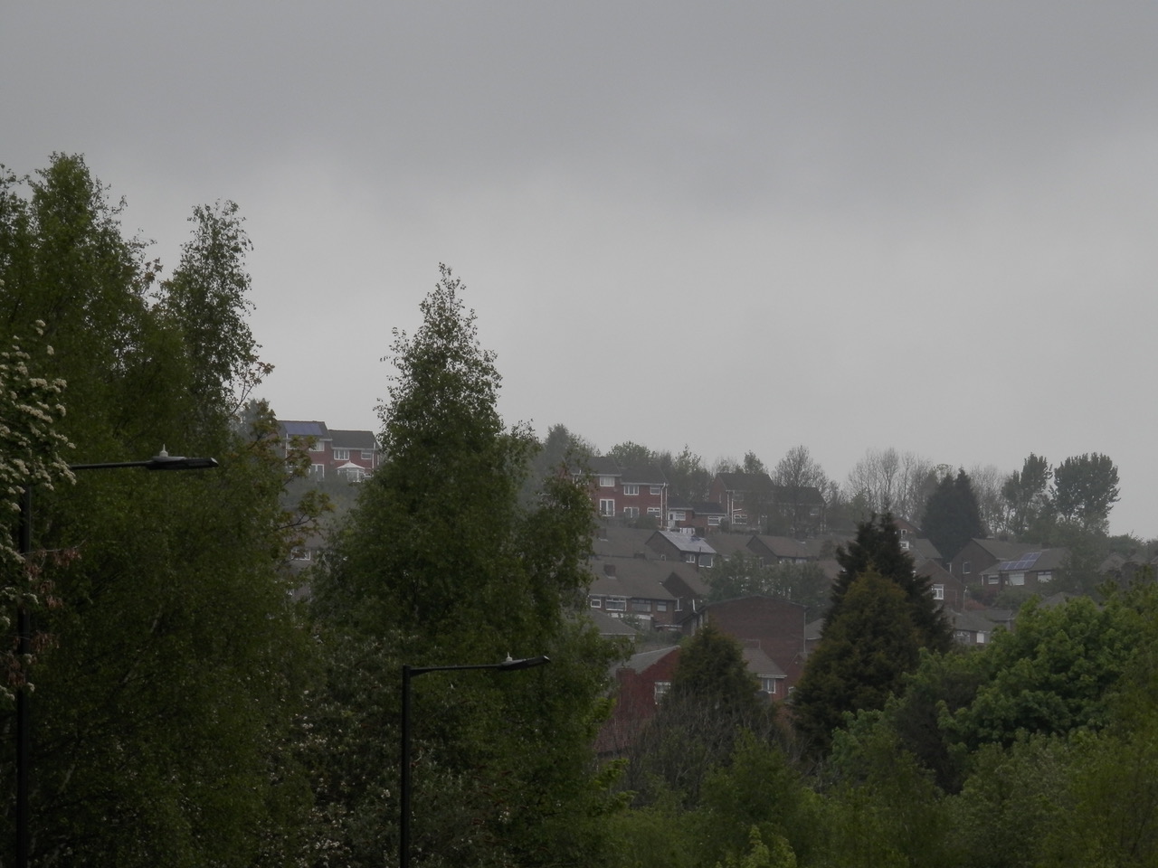 Fwd: Photo – F. Annear			
					</div><!-- .entry-content -->
		
		<footer>
		
		
		
					
					</footer><!-- .entry-meta -->
	</article><!-- #post -->
				
											
				
		
<hr class=