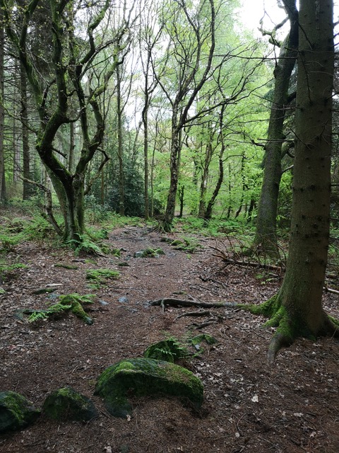 Fwd: ecclesall woods by George Woodhouse			
					</div><!-- .entry-content -->
		
		<footer>
		
		
		
					
					</footer><!-- .entry-meta -->
	</article><!-- #post -->
				
											
				
		
<hr class=