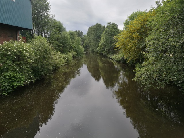 Fwd: River Don from Stevenson Road			
					</div><!-- .entry-content -->
		
		<footer>
		
		
		
					
					</footer><!-- .entry-meta -->
	</article><!-- #post -->
				
											
				
		
<hr class=