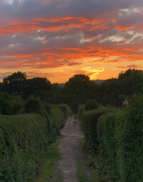 Fwd: High Storrs Allotments			
					</div><!-- .entry-content -->
		
		<footer>
		
		
		
					
					</footer><!-- .entry-meta -->
	</article><!-- #post -->
				
											
				
		
<hr class=
