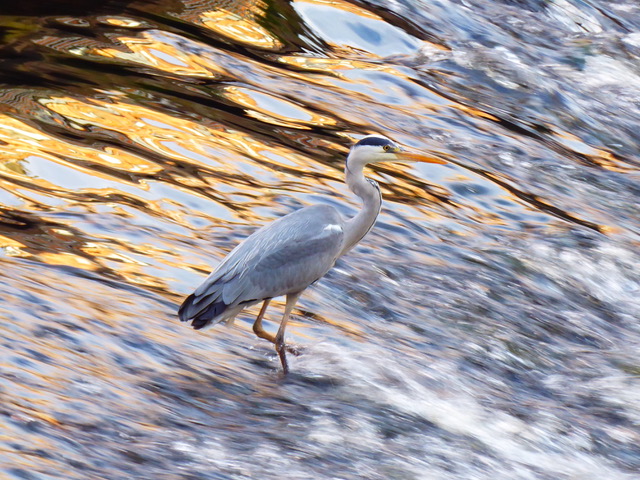 Fwd: Sheffield photos .			
					</div><!-- .entry-content -->
		
		<footer>
		
		
		
					
					</footer><!-- .entry-meta -->
	</article><!-- #post -->
				
											
				
		
<hr class=