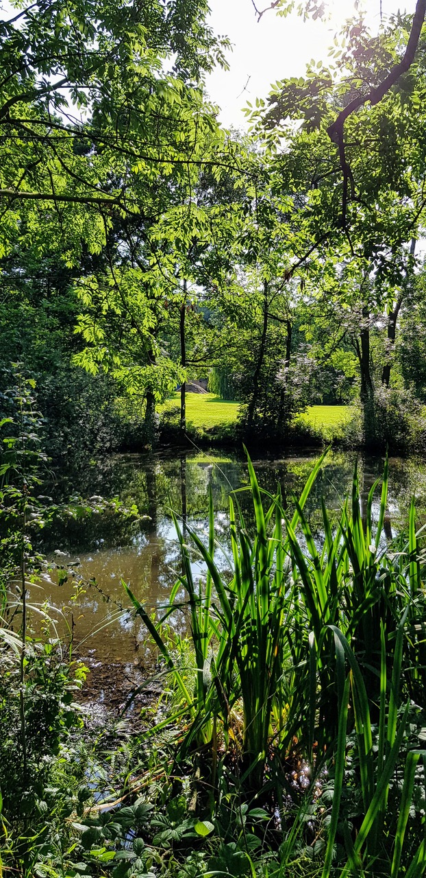 Fwd: Beauchief abbey pond			
					</div><!-- .entry-content -->
		
		<footer>
		
		
		
					
					</footer><!-- .entry-meta -->
	</article><!-- #post -->
				
											
				
		
<hr class=