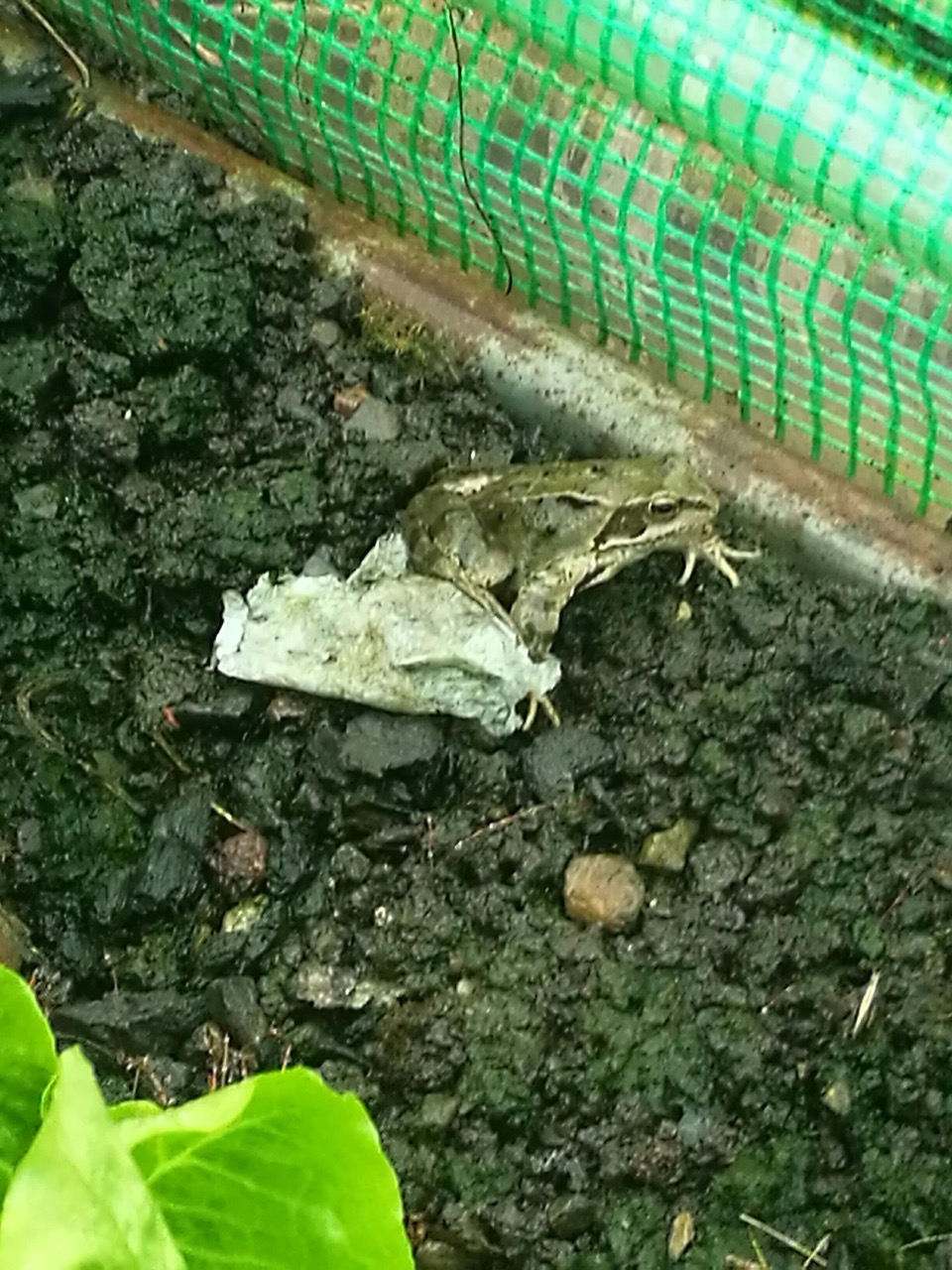 Fwd: Allotment intruder Wincobank			
					</div><!-- .entry-content -->
		
		<footer>
		
		
		
					
					</footer><!-- .entry-meta -->
	</article><!-- #post -->
				
											
				
		
<hr class=