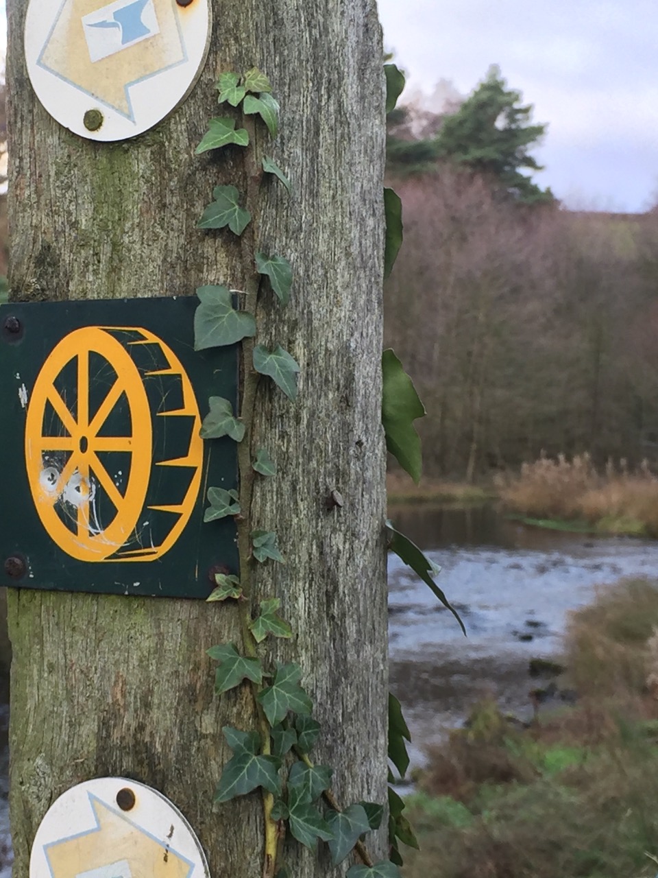 Fwd: Loxley valley walk			
					</div><!-- .entry-content -->
		
		<footer>
		
		
		
					
					</footer><!-- .entry-meta -->
	</article><!-- #post -->
				
											
				
		
<hr class=