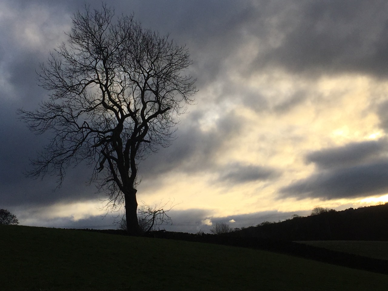 Fwd: View from High Bradfield			
					</div><!-- .entry-content -->
		
		<footer>
		
		
		
					
					</footer><!-- .entry-meta -->
	</article><!-- #post -->
				
											
				
		
<hr class=