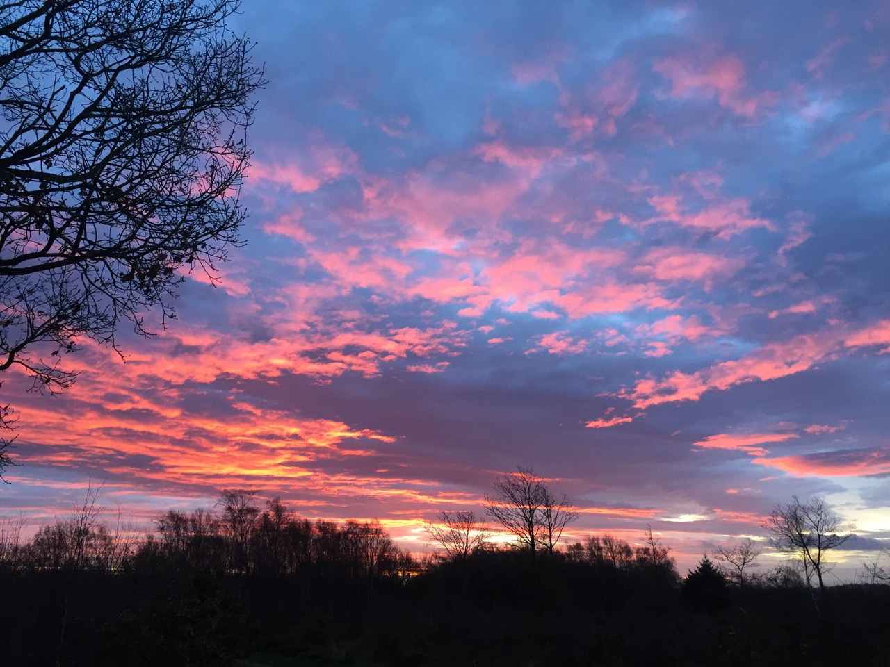 Fwd: Photos			
					</div><!-- .entry-content -->
		
		<footer>
		
		
		
					
					</footer><!-- .entry-meta -->
	</article><!-- #post -->
				
											
				
		
<hr class=