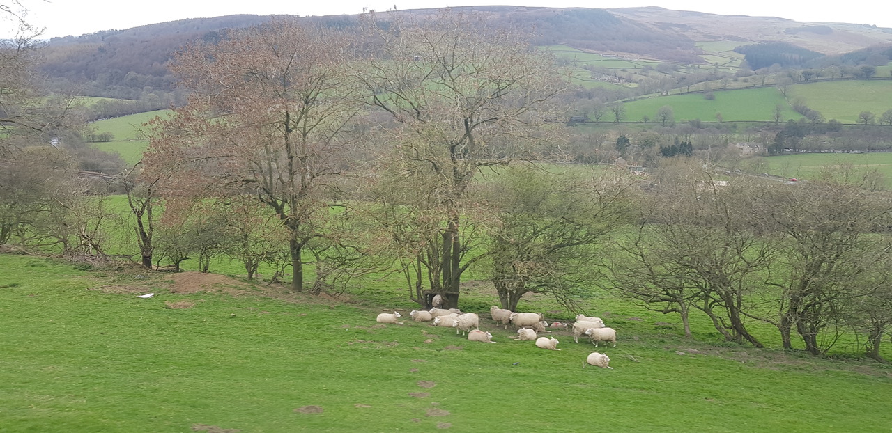 Fwd: Photo			
					</div><!-- .entry-content -->
		
		<footer>
		
		
		
					
					</footer><!-- .entry-meta -->
	</article><!-- #post -->
				
											
				
		
<hr class=