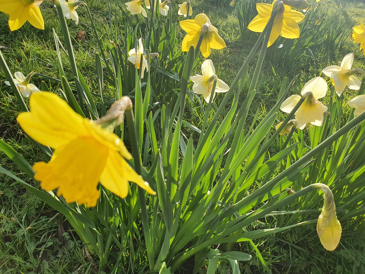 Fwd: Photograph			
					</div><!-- .entry-content -->
		
		<footer>
		
		
		
					
					</footer><!-- .entry-meta -->
	</article><!-- #post -->
				
											
				
		
<hr class=