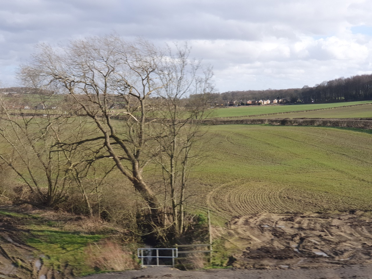 Fwd: Photograph			
					</div><!-- .entry-content -->
		
		<footer>
		
		
		
					
					</footer><!-- .entry-meta -->
	</article><!-- #post -->
				
											
				
		
<hr class=