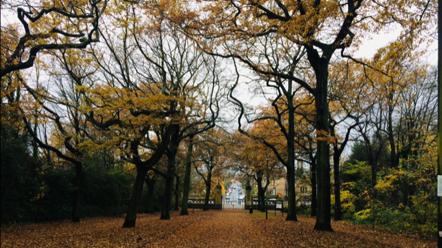 Fwd: Norfolk Park			
					</div><!-- .entry-content -->
		
		<footer>
		
		
		
					
					</footer><!-- .entry-meta -->
	</article><!-- #post -->
				
											
				
		
<hr class=