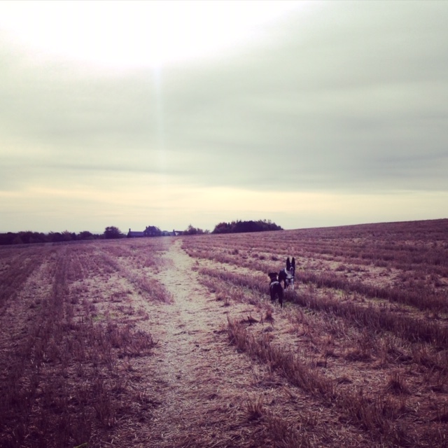 Fwd: Sheffield			
					</div><!-- .entry-content -->
		
		<footer>
		
		
		
					
					</footer><!-- .entry-meta -->
	</article><!-- #post -->
				
											
				
		
<hr class=