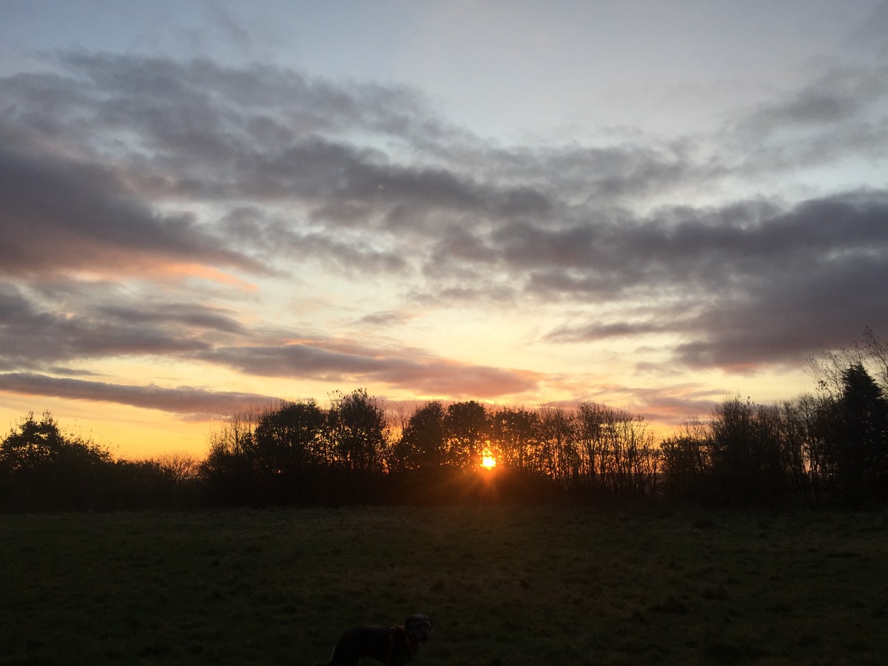 Fwd: Dawn walks in wadsley			
					</div><!-- .entry-content -->
		
		<footer>
		
		
		
					
					</footer><!-- .entry-meta -->
	</article><!-- #post -->
				
											
				
		
<hr class=