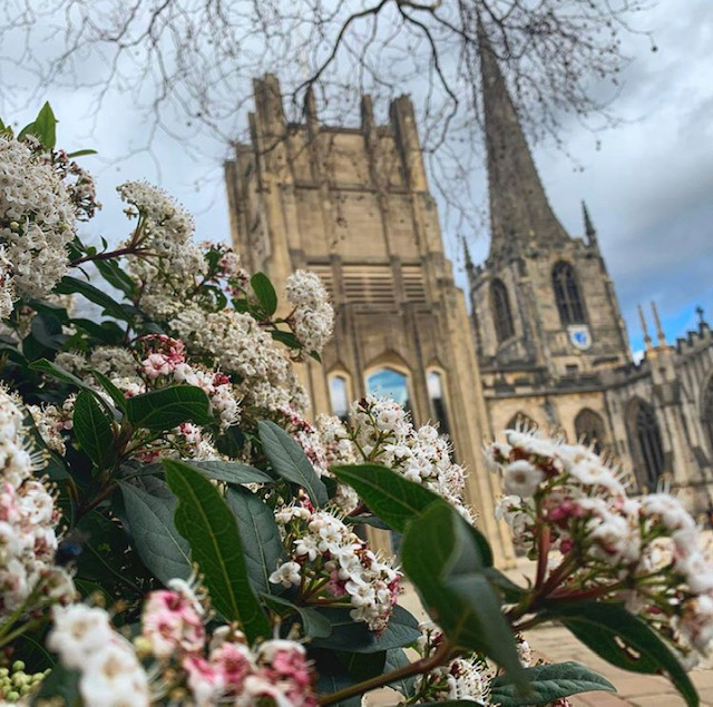 Fwd: Photo By Keri Kaya			
					</div><!-- .entry-content -->
		
		<footer>
		
		
		
					
					</footer><!-- .entry-meta -->
	</article><!-- #post -->
				
											
				
		
<hr class=