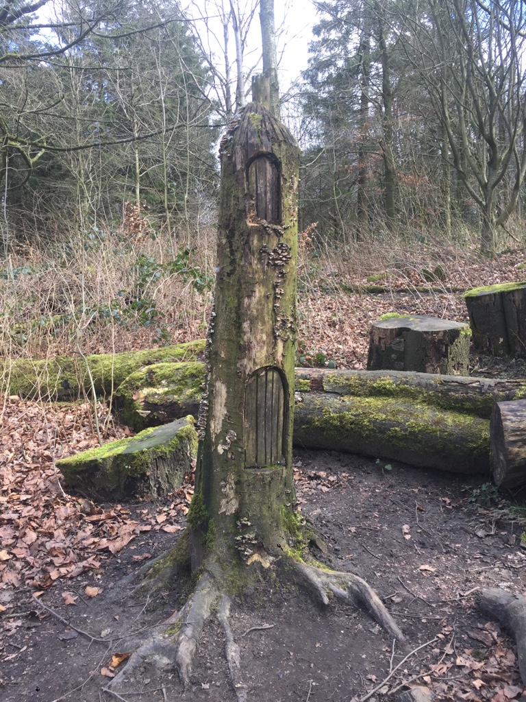 Fwd: Sheffield photos			
					</div><!-- .entry-content -->
		
		<footer>
		
		
		
					
					</footer><!-- .entry-meta -->
	</article><!-- #post -->
				
											
				
		
<hr class=