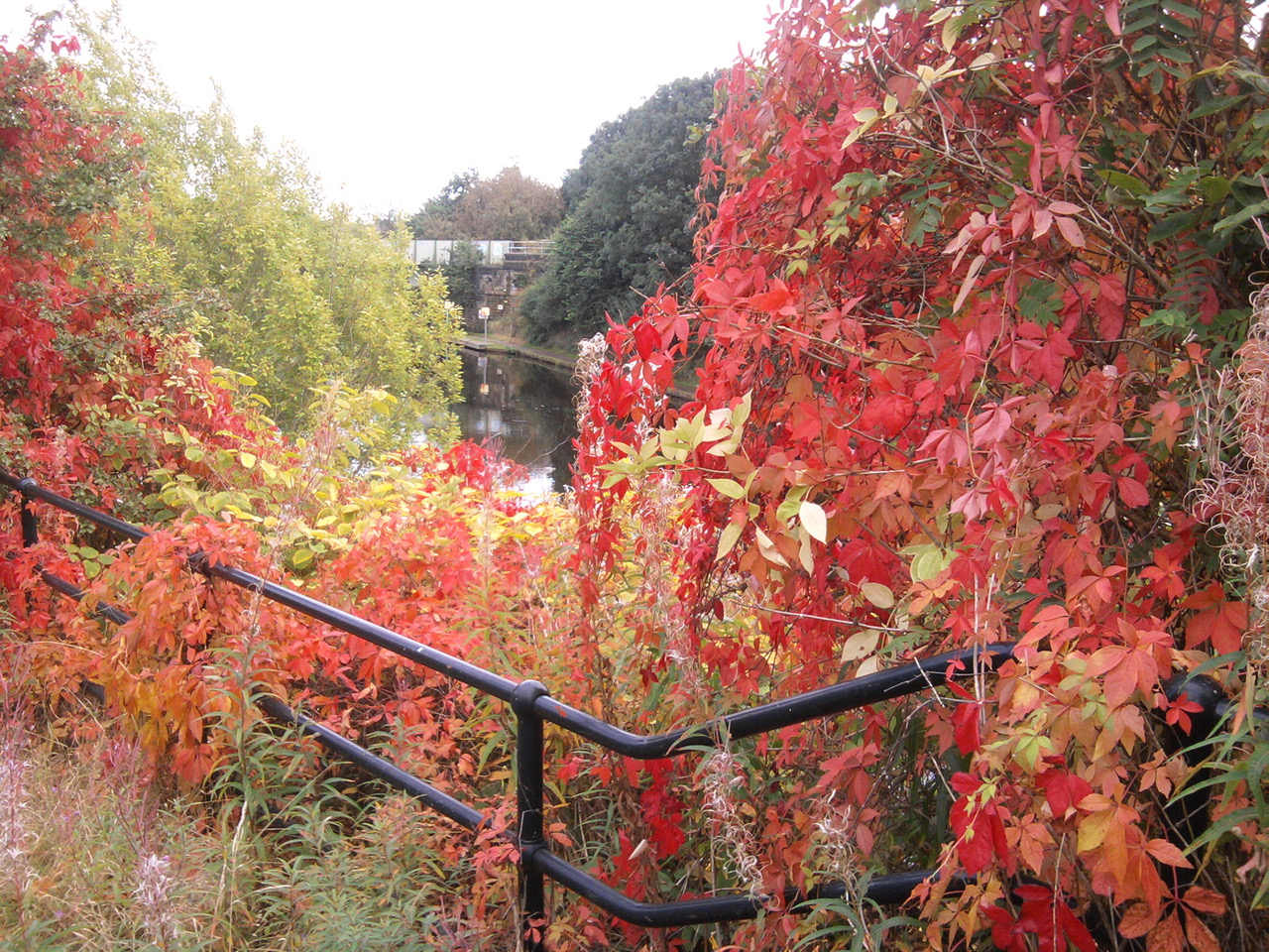 Fwd: Looking towards Sheffield and Tinsley canal near Attercliffe by Terry Lee			
					</div><!-- .entry-content -->
		
		<footer>
		
		
		
					
					</footer><!-- .entry-meta -->
	</article><!-- #post -->
				
											
				
		
<hr class=