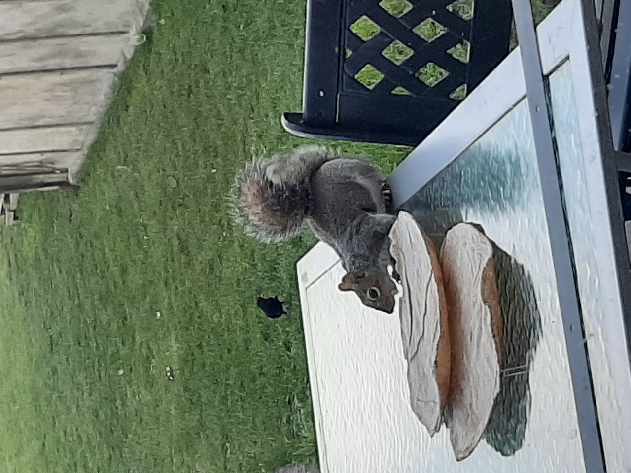 Fwd: Photos			
					</div><!-- .entry-content -->
		
		<footer>
		
		
		
					
					</footer><!-- .entry-meta -->
	</article><!-- #post -->
				
											
				
		
<hr class=