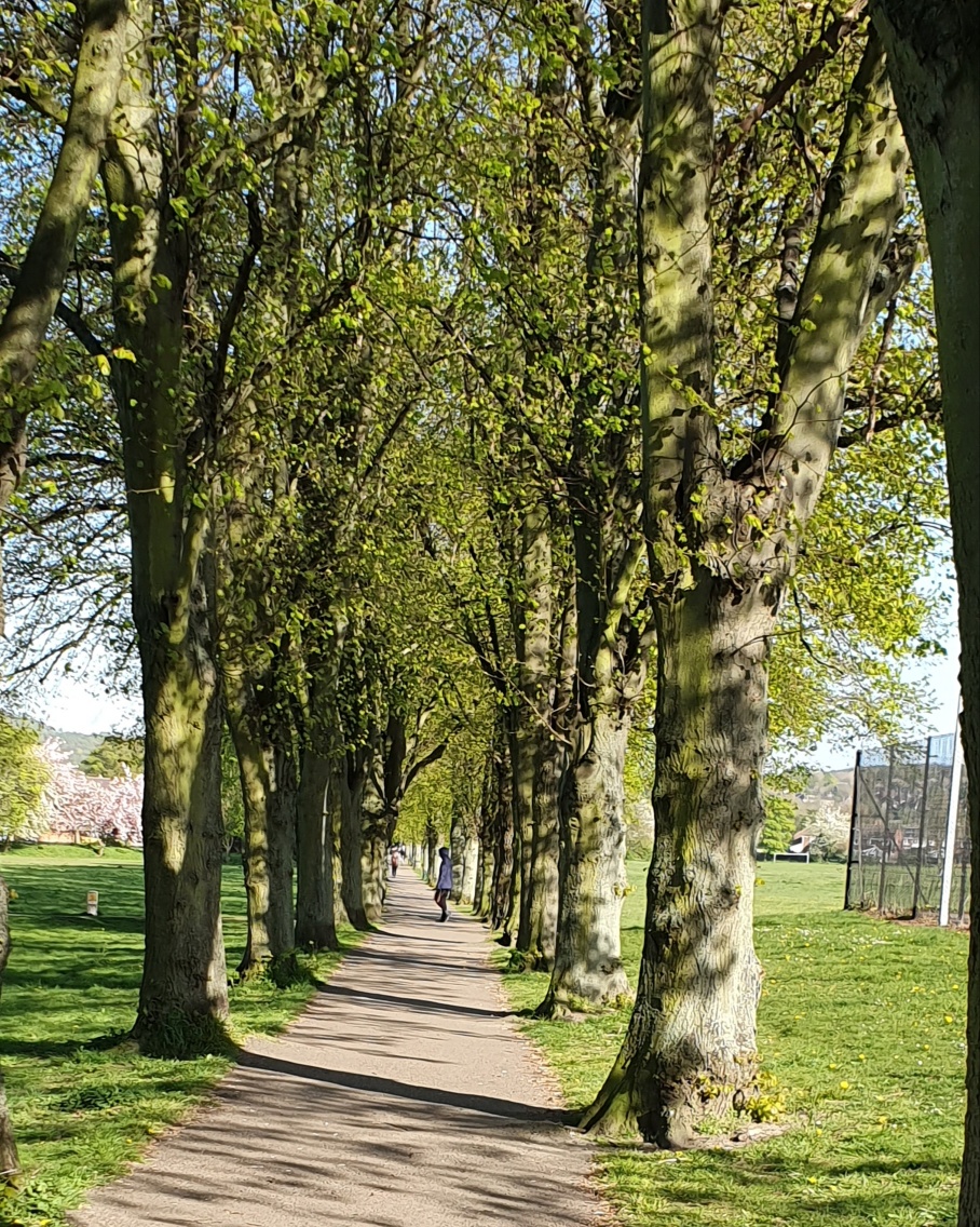 Fwd: Sheffield photos			
					</div><!-- .entry-content -->
		
		<footer>
		
		
		
					
					</footer><!-- .entry-meta -->
	</article><!-- #post -->
				
											
				
		
<hr class=