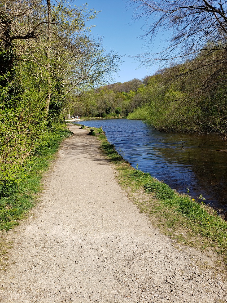 Fwd: By Vanda Lee :Rivelin Valley Duck Pond			
					</div><!-- .entry-content -->
		
		<footer>
		
		
		
					
					</footer><!-- .entry-meta -->
	</article><!-- #post -->
				
											
				
		
<hr class=