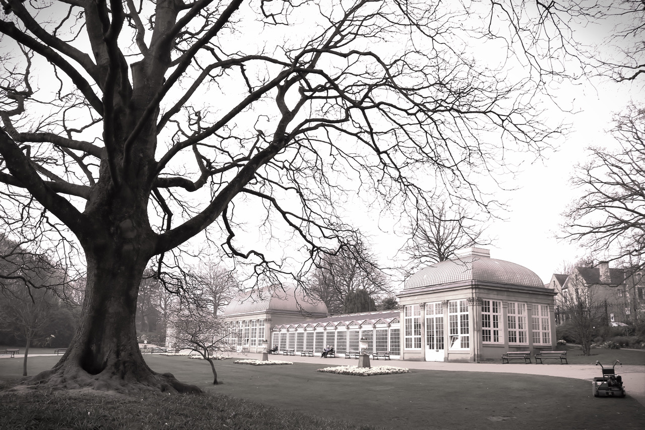 Fwd: Botanical gardens			
					</div><!-- .entry-content -->
		
		<footer>
		
		
		
					
					</footer><!-- .entry-meta -->
	</article><!-- #post -->
				
											
				
		
<hr class=