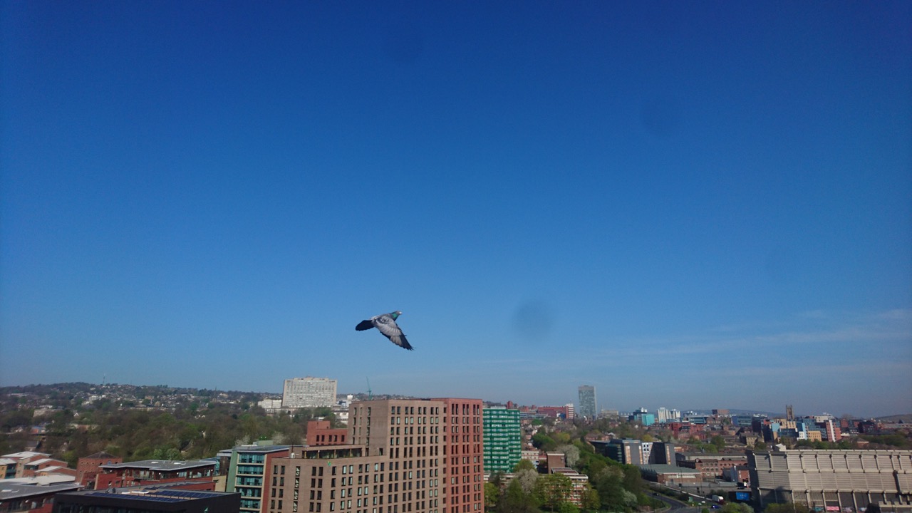 Fwd: From Steve Woan			
					</div><!-- .entry-content -->
		
		<footer>
		
		
		
					
					</footer><!-- .entry-meta -->
	</article><!-- #post -->
				
											
				
		
<hr class=