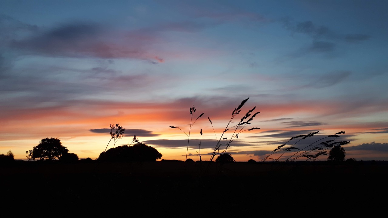 Fwd: Dronfield Sunset			
					</div><!-- .entry-content -->
		
		<footer>
		
		
		
					
					</footer><!-- .entry-meta -->
	</article><!-- #post -->
				
											
				
		
<hr class=