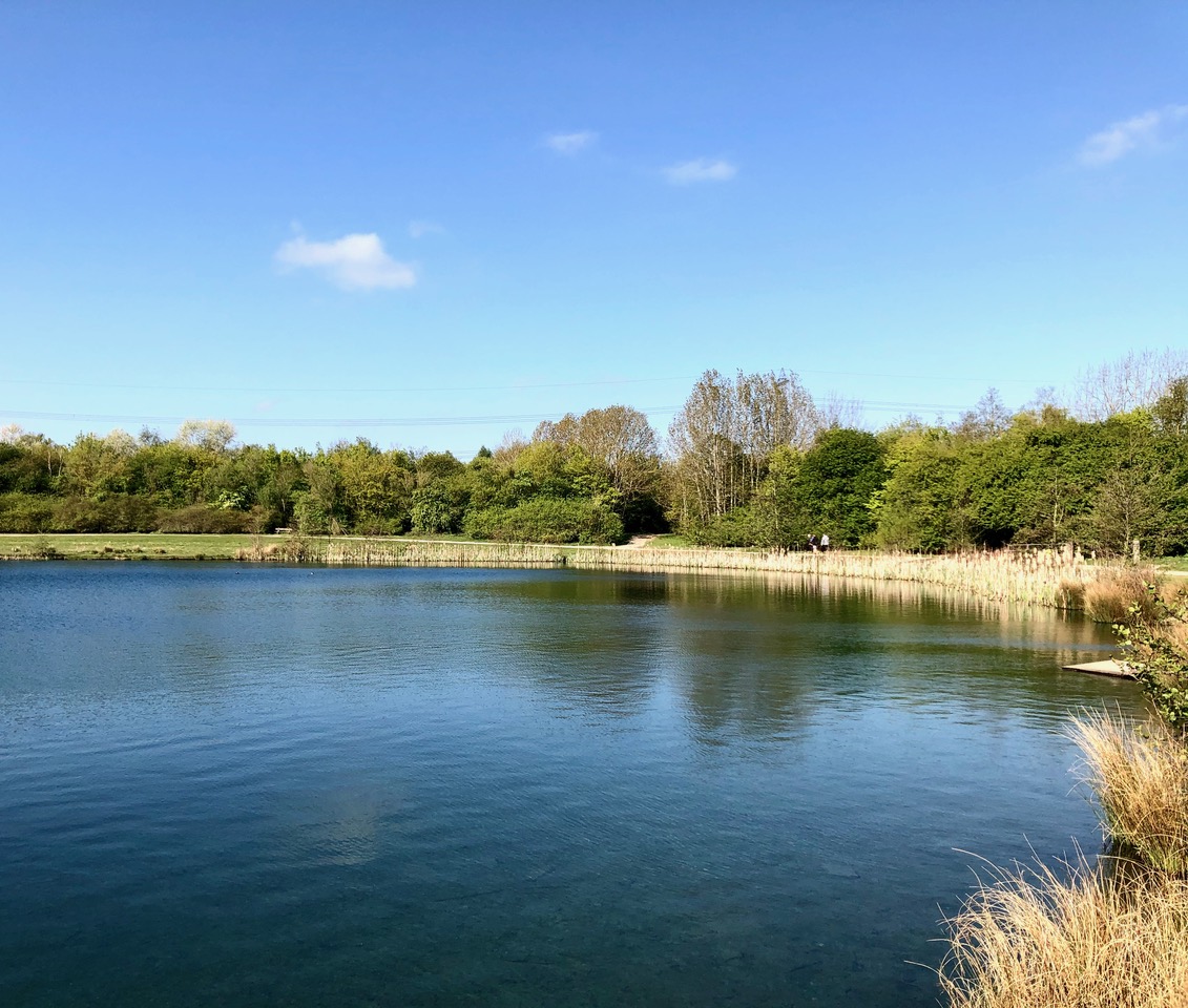 Fwd: Lake Rother Valley Country Park Sheffield			
					</div><!-- .entry-content -->
		
		<footer>
		
		
		
					
					</footer><!-- .entry-meta -->
	</article><!-- #post -->
				
											
				
		
<hr class=