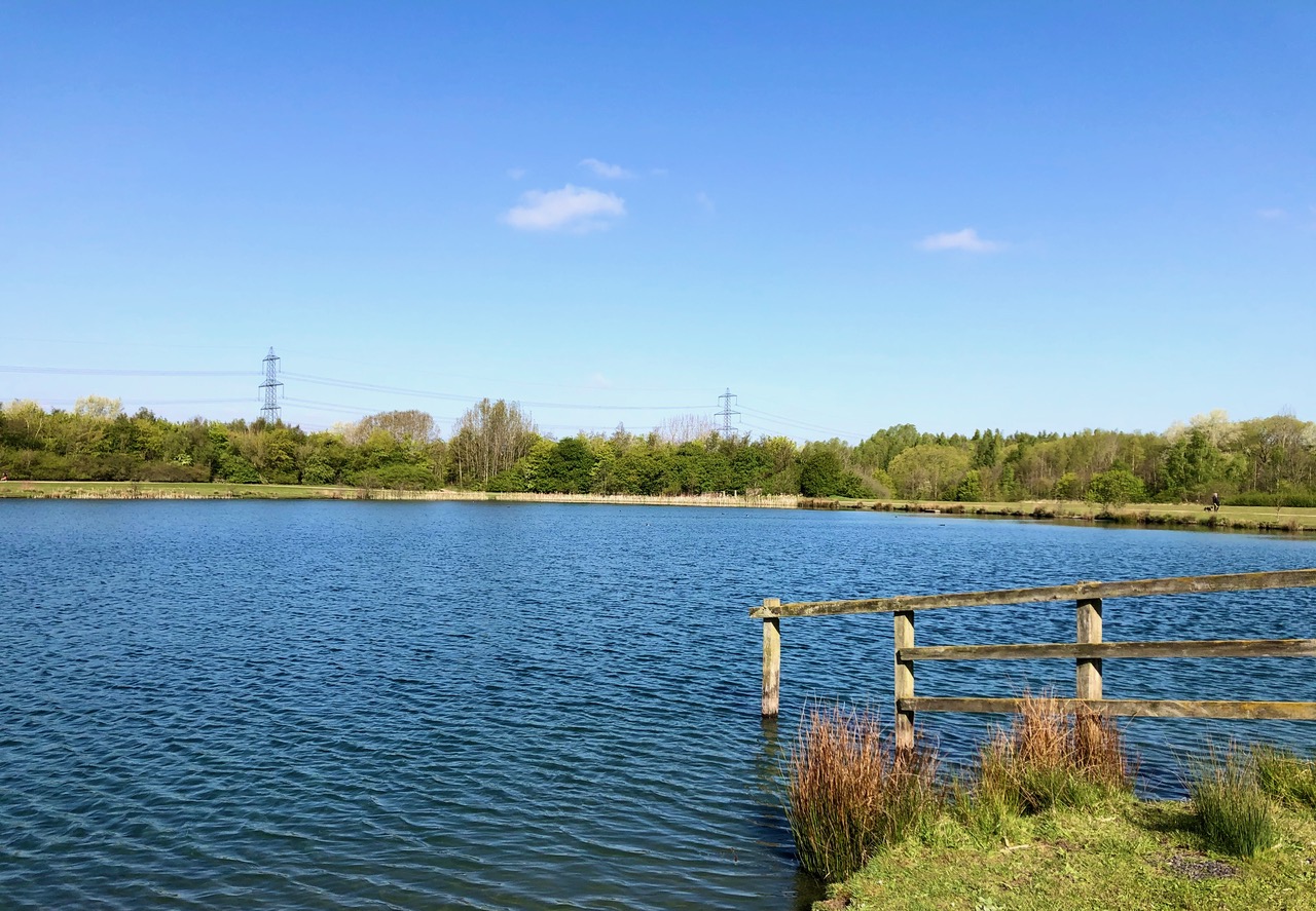 Fwd: Rother Valley Country Park this morning			
					</div><!-- .entry-content -->
		
		<footer>
		
		
		
					
					</footer><!-- .entry-meta -->
	</article><!-- #post -->
				
											
				
		
<hr class=