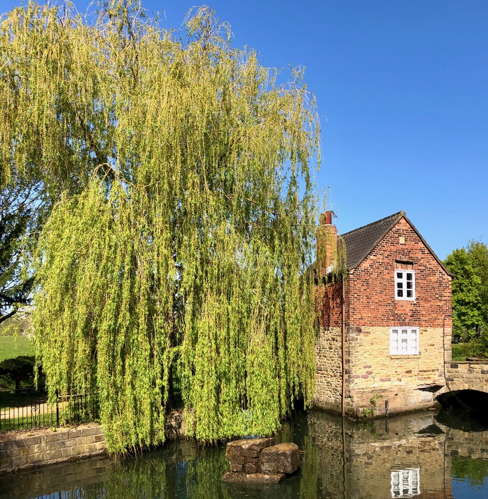 Fwd: The old water Mill at Rother Valley Country Park Sheffield.			
					</div><!-- .entry-content -->
		
		<footer>
		
		
		
					
					</footer><!-- .entry-meta -->
	</article><!-- #post -->
				
											
				
		
<hr class=