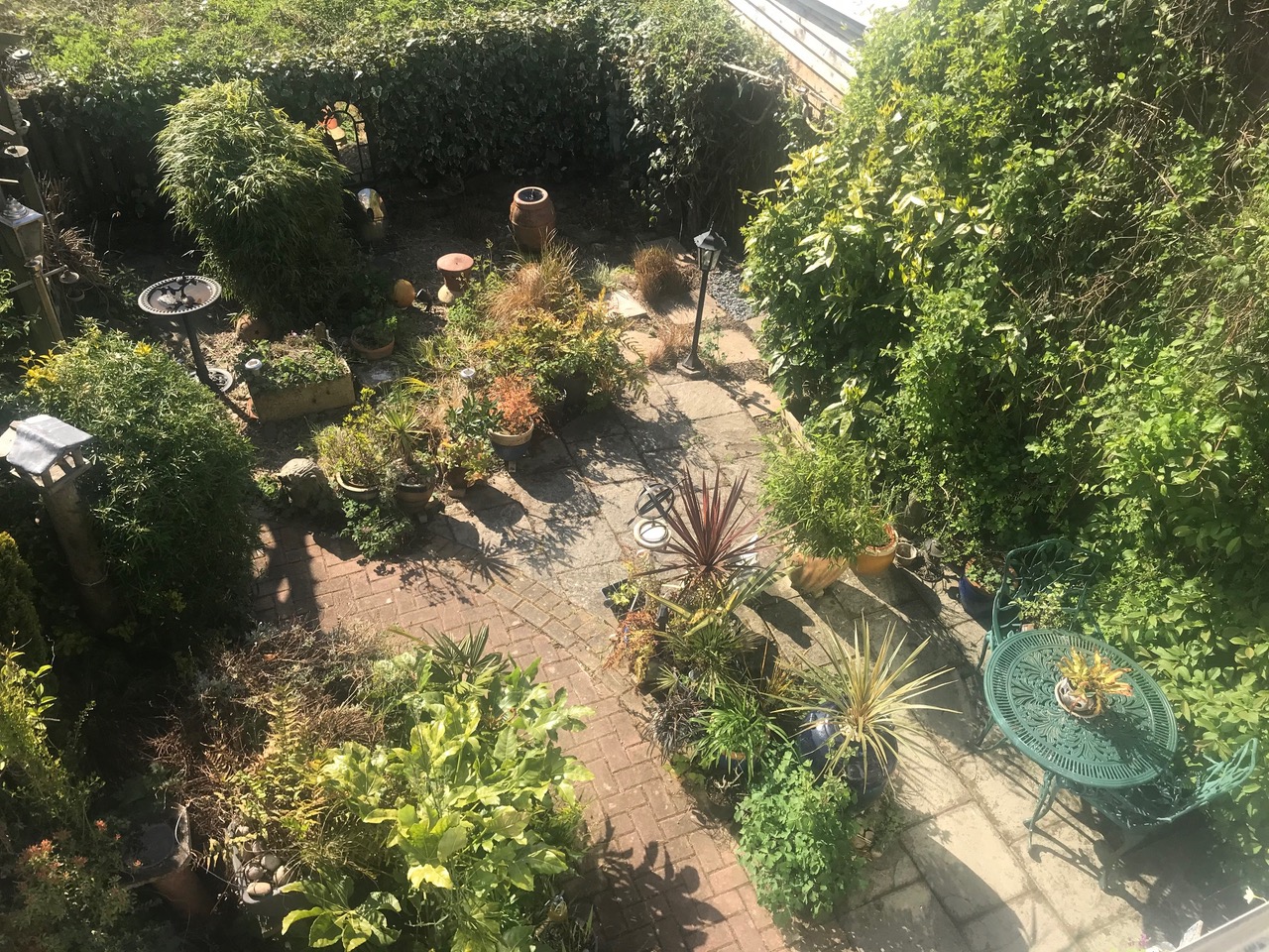 Fwd: John Greenwood . Charnock garden.			
					</div><!-- .entry-content -->
		
		<footer>
		
		
		
					
					</footer><!-- .entry-meta -->
	</article><!-- #post -->
				
											
				
		
<hr class=