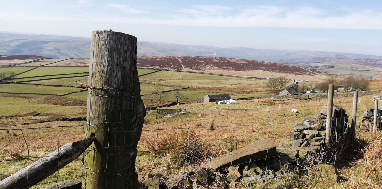 Fwd: Towards Hope!			
					</div><!-- .entry-content -->
		
		<footer>
		
		
		
					
					</footer><!-- .entry-meta -->
	</article><!-- #post -->
				
											
				
		
<hr class=