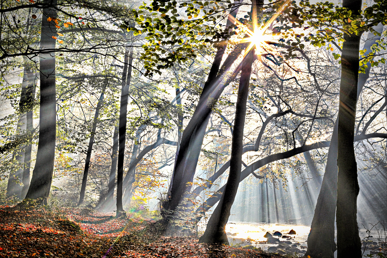 Fwd: Winter sunshine			
					</div><!-- .entry-content -->
		
		<footer>
		
		
		
					
					</footer><!-- .entry-meta -->
	</article><!-- #post -->
				
											
				
		
<hr class=