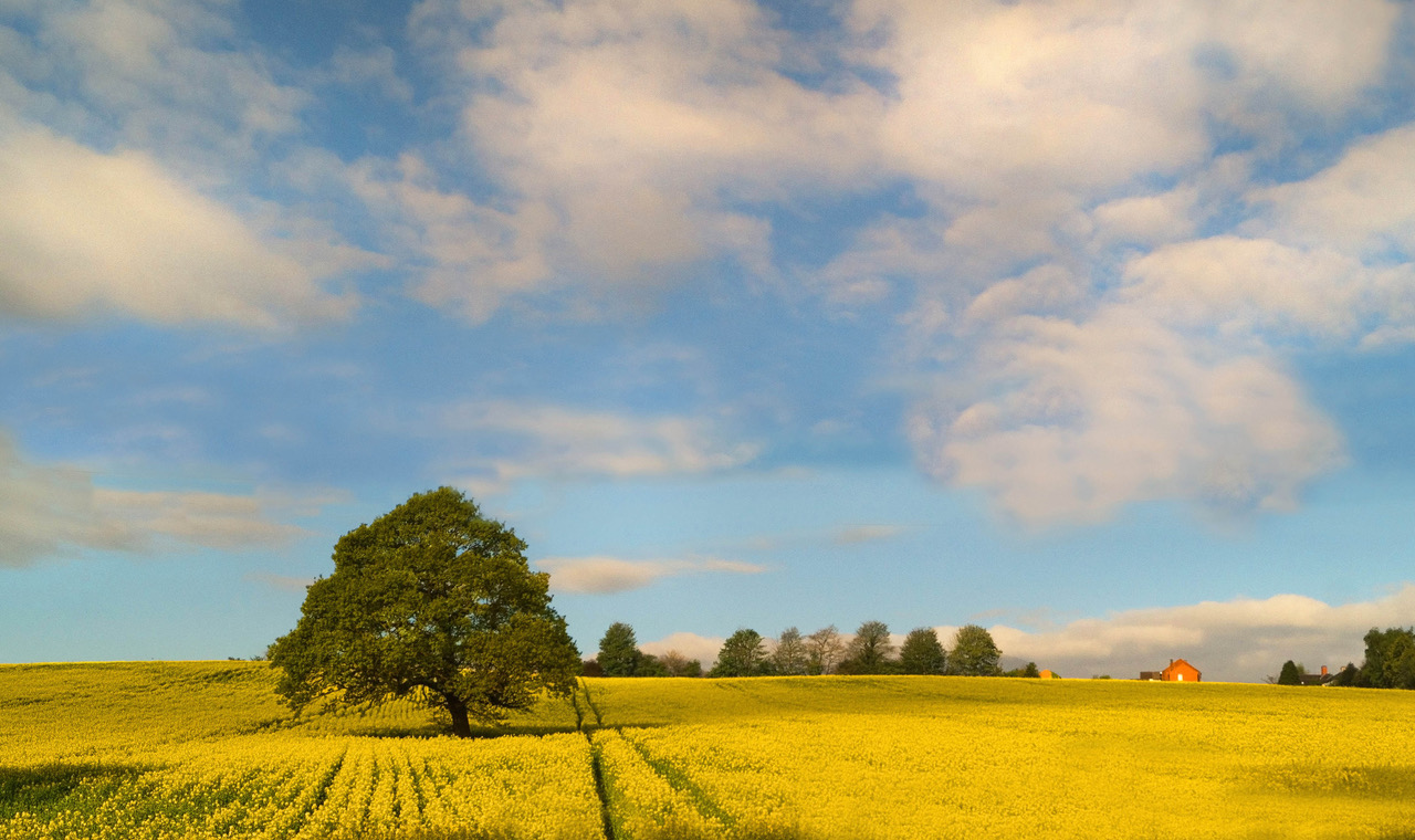 Fwd: Images for your slideshow			
					</div><!-- .entry-content -->
		
		<footer>
		
		
		
					
					</footer><!-- .entry-meta -->
	</article><!-- #post -->
				
											
				
		
<hr class=