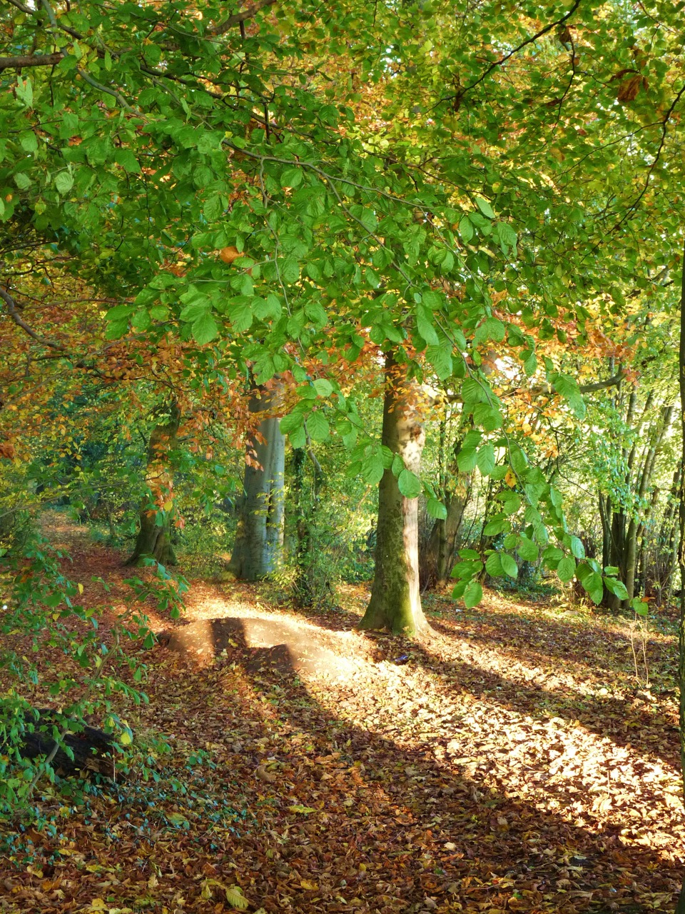 Fwd: Photo Images			
					</div><!-- .entry-content -->
		
		<footer>
		
		
		
					
					</footer><!-- .entry-meta -->
	</article><!-- #post -->
				
											
				
		
<hr class=