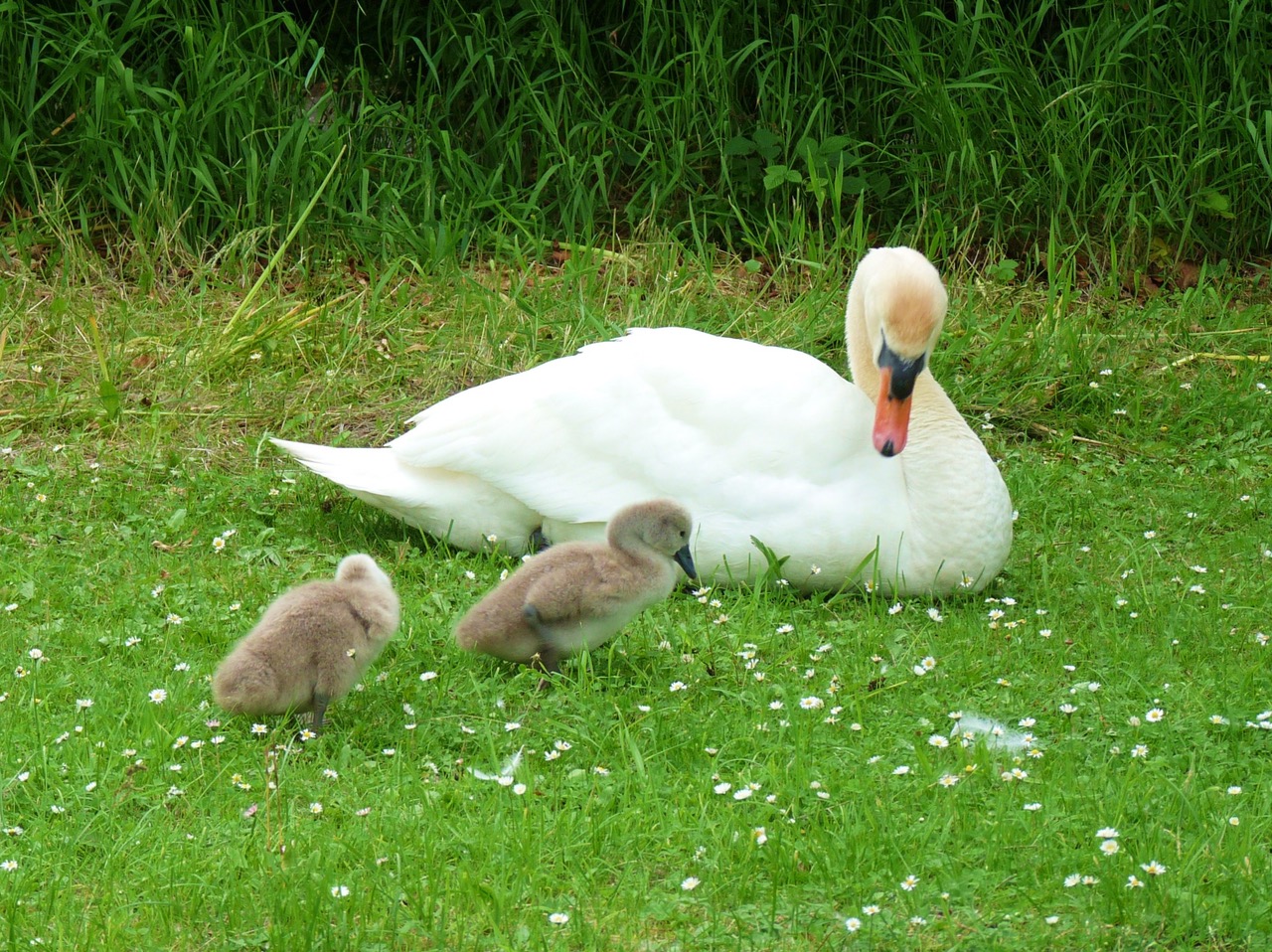 Fwd: Photo Images			
					</div><!-- .entry-content -->
		
		<footer>
		
		
		
					
					</footer><!-- .entry-meta -->
	</article><!-- #post -->
				
											
				
		
<hr class=