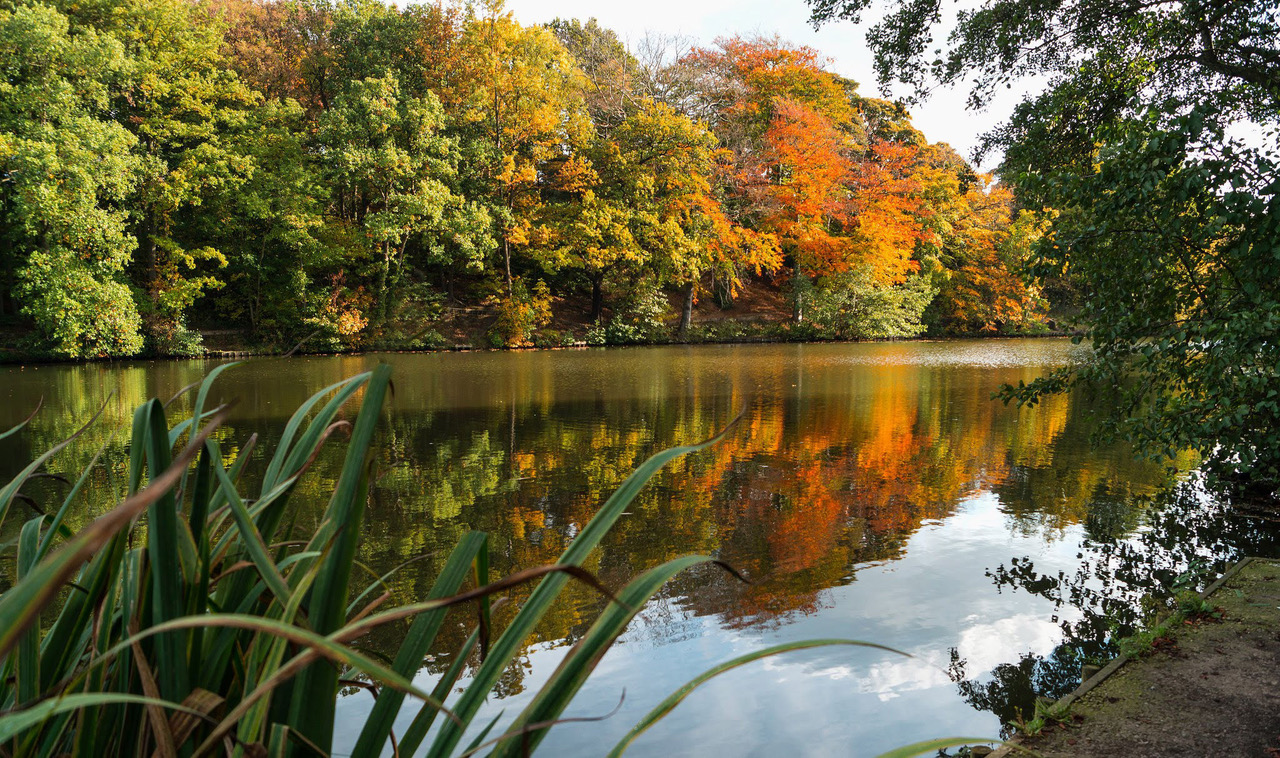 Fwd: Images for your slideshow			
					</div><!-- .entry-content -->
		
		<footer>
		
		
		
					
					</footer><!-- .entry-meta -->
	</article><!-- #post -->
				
											
				
		
<hr class=