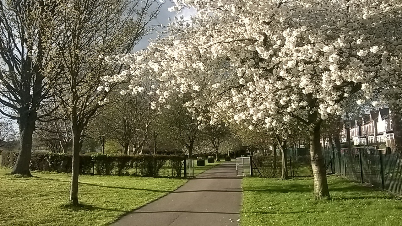 Fwd:			
					</div><!-- .entry-content -->
		
		<footer>
		
		
		
					
					</footer><!-- .entry-meta -->
	</article><!-- #post -->
				
											
				
		
<hr class=