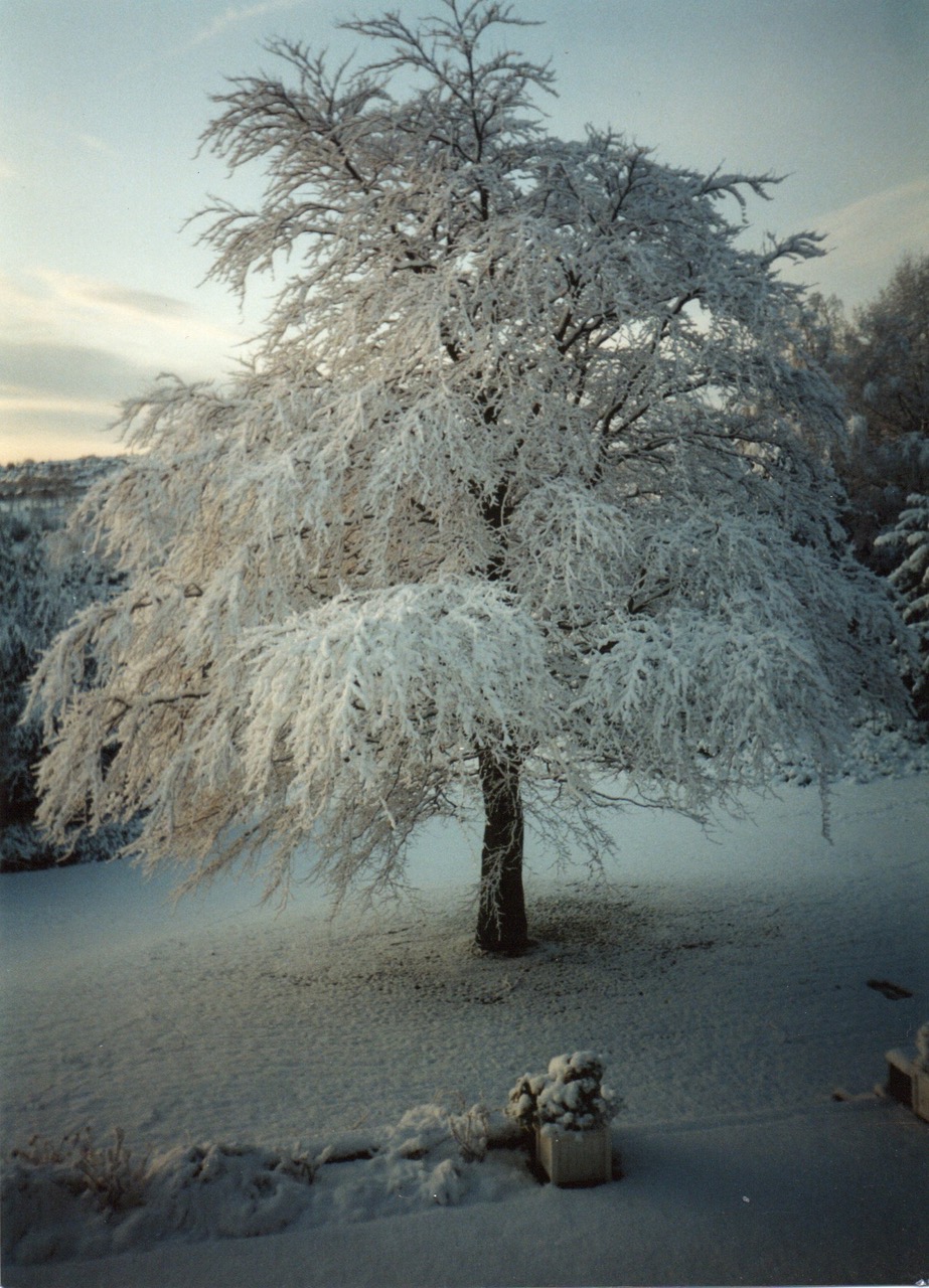 Fwd: PHOTOS			
					</div><!-- .entry-content -->
		
		<footer>
		
		
		
					
					</footer><!-- .entry-meta -->
	</article><!-- #post -->
				
											
				
		
<hr class=