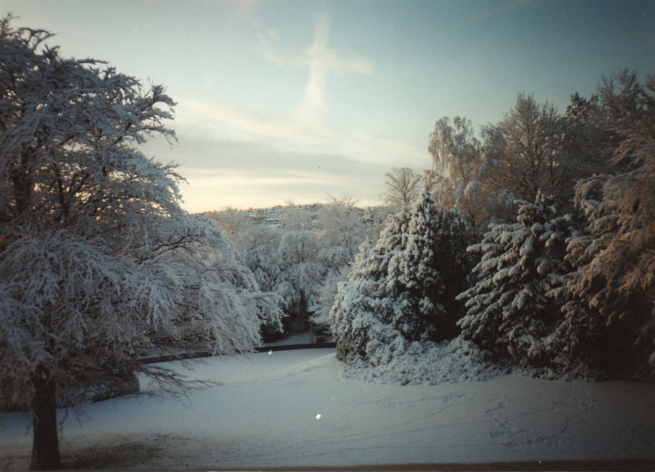 Fwd: PHOTOS			
					</div><!-- .entry-content -->
		
		<footer>
		
		
		
					
					</footer><!-- .entry-meta -->
	</article><!-- #post -->
				
											
				
		
<hr class=