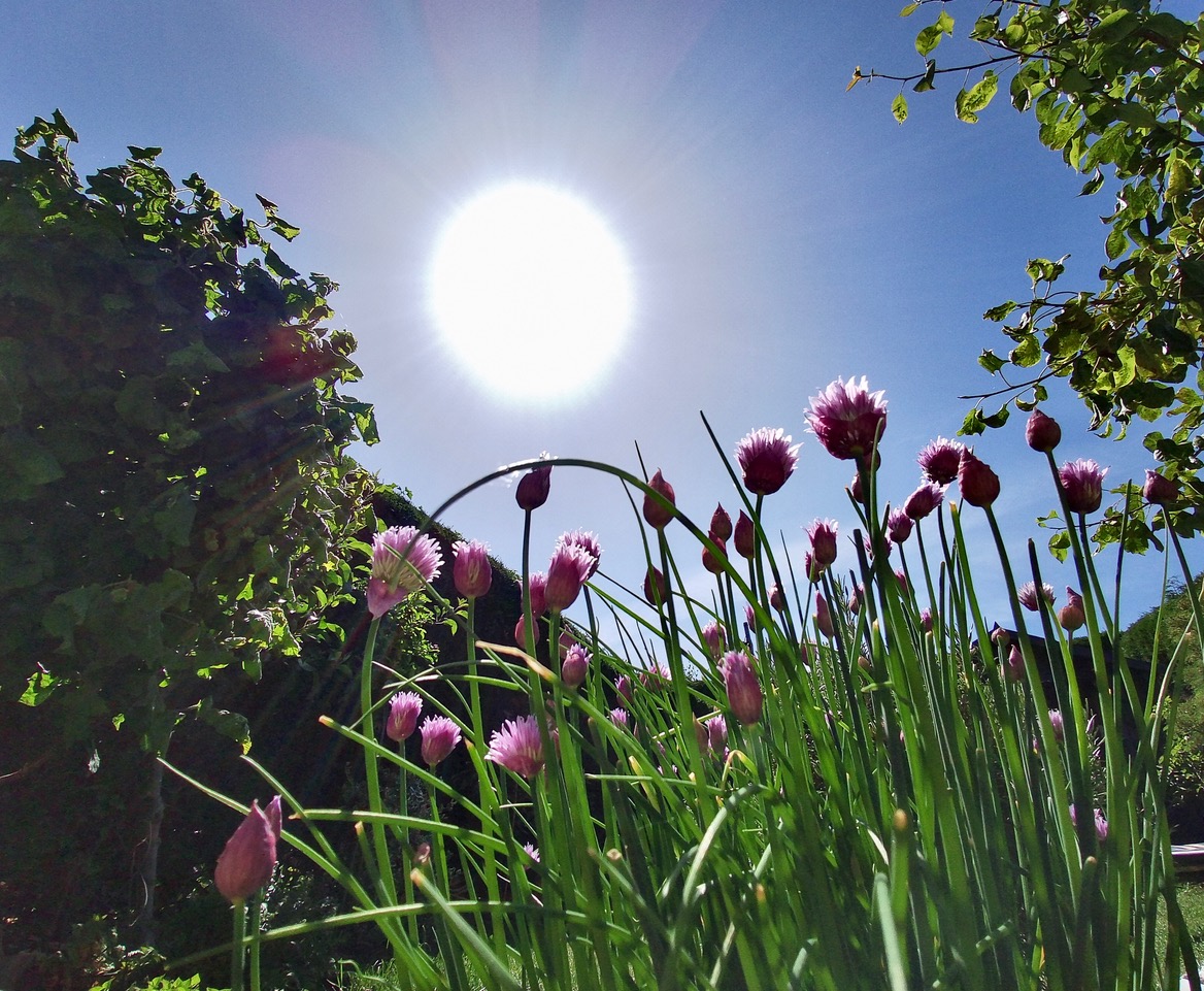 Fwd: Chives Sheffield			
					</div><!-- .entry-content -->
		
		<footer>
		
		
		
					
					</footer><!-- .entry-meta -->
	</article><!-- #post -->
				
											
				
		
<hr class=