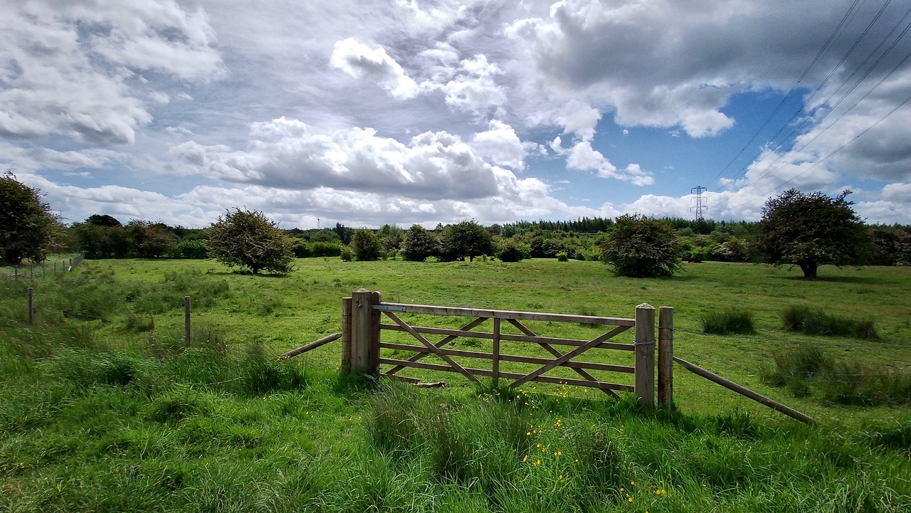 Fwd: Woodhouse Washlands Nature Reserve Sheffield			
					</div><!-- .entry-content -->
		
		<footer>
		
		
		
					
					</footer><!-- .entry-meta -->
	</article><!-- #post -->
				
											
				
		
<hr class=