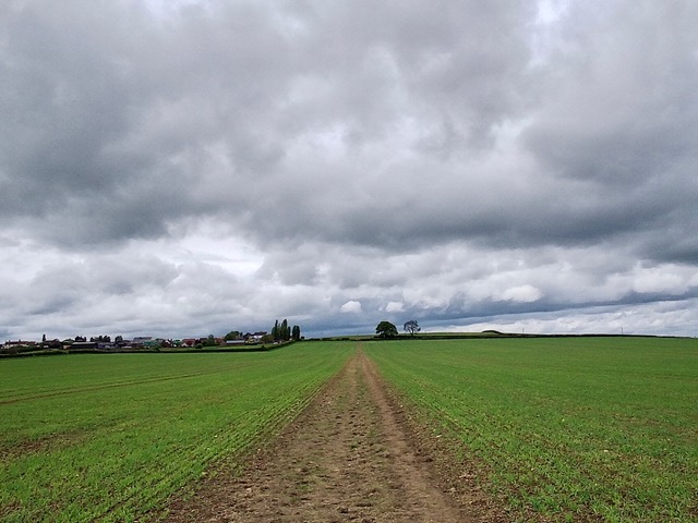 Fwd: Grey Skies			
					</div><!-- .entry-content -->
		
		<footer>
		
		
		
					
					</footer><!-- .entry-meta -->
	</article><!-- #post -->
				
											
				
		
<hr class=
