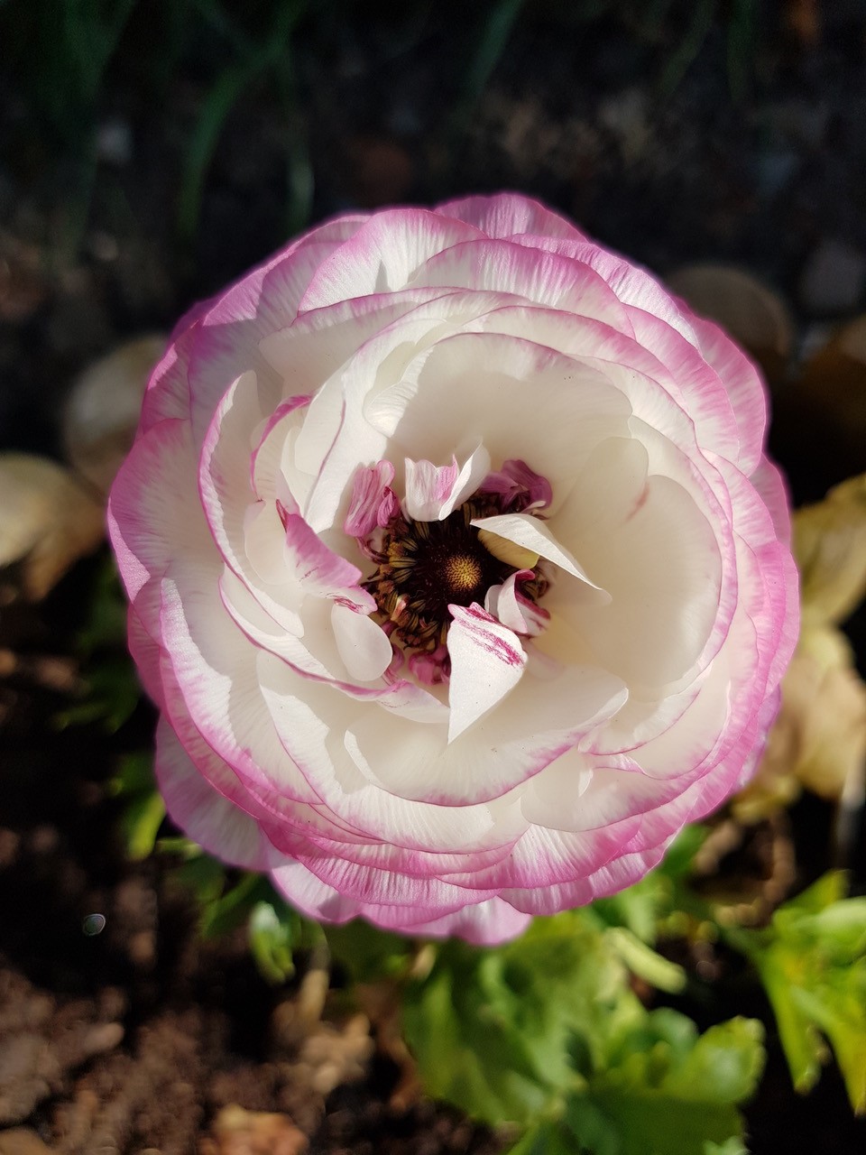 Fwd: Gillian Hessay			
					</div><!-- .entry-content -->
		
		<footer>
		
		
		
					
					</footer><!-- .entry-meta -->
	</article><!-- #post -->
				
											
				
		
<hr class=