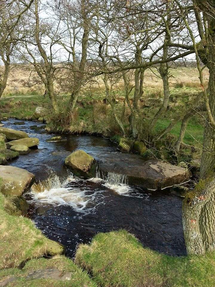 Fwd: Padley Gorge			
					</div><!-- .entry-content -->
		
		<footer>
		
		
		
					
					</footer><!-- .entry-meta -->
	</article><!-- #post -->
				
											
				
		
<hr class=