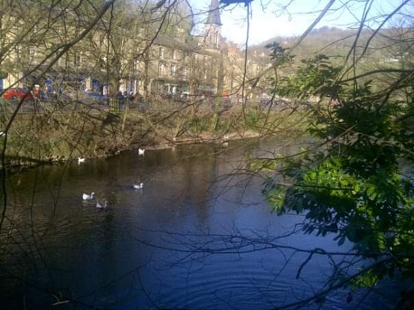 Fwd: Matlock			
					</div><!-- .entry-content -->
		
		<footer>
		
		
		
					
					</footer><!-- .entry-meta -->
	</article><!-- #post -->
				
											
				
		
<hr class=