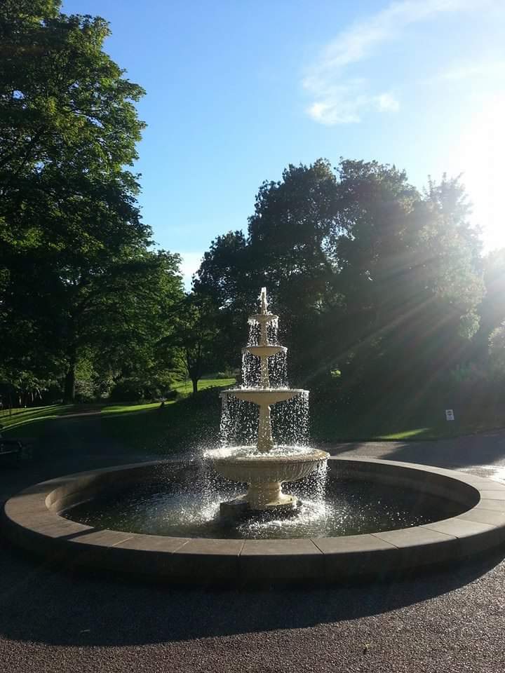 Fwd: Botanical Gardens			
					</div><!-- .entry-content -->
		
		<footer>
		
		
		
					
					</footer><!-- .entry-meta -->
	</article><!-- #post -->
				
											
				
		
<hr class=