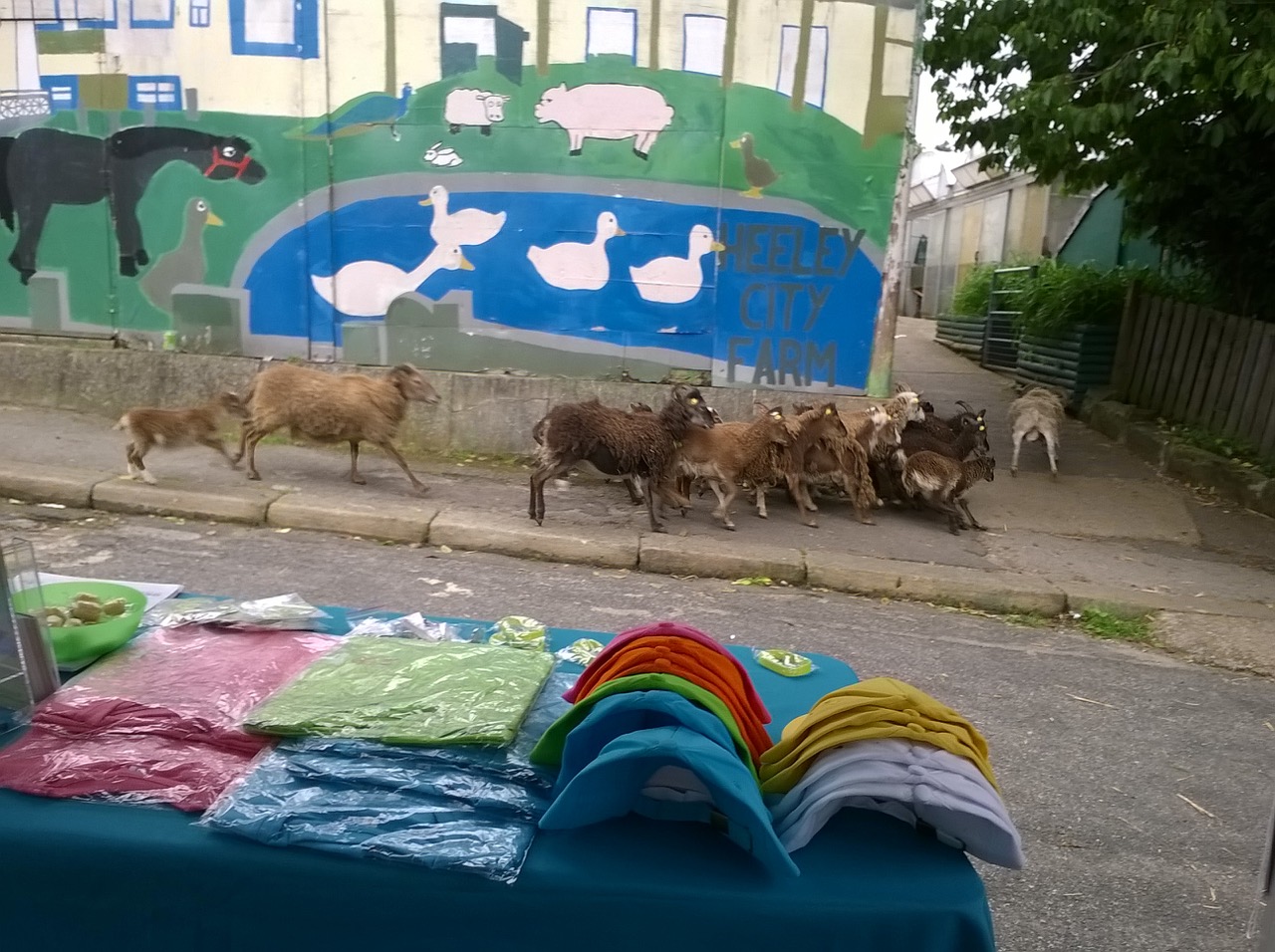 Fwd: HEELEY CITY FARM			
					</div><!-- .entry-content -->
		
		<footer>
		
		
		
					
					</footer><!-- .entry-meta -->
	</article><!-- #post -->
				
											
				
		
<hr class=
