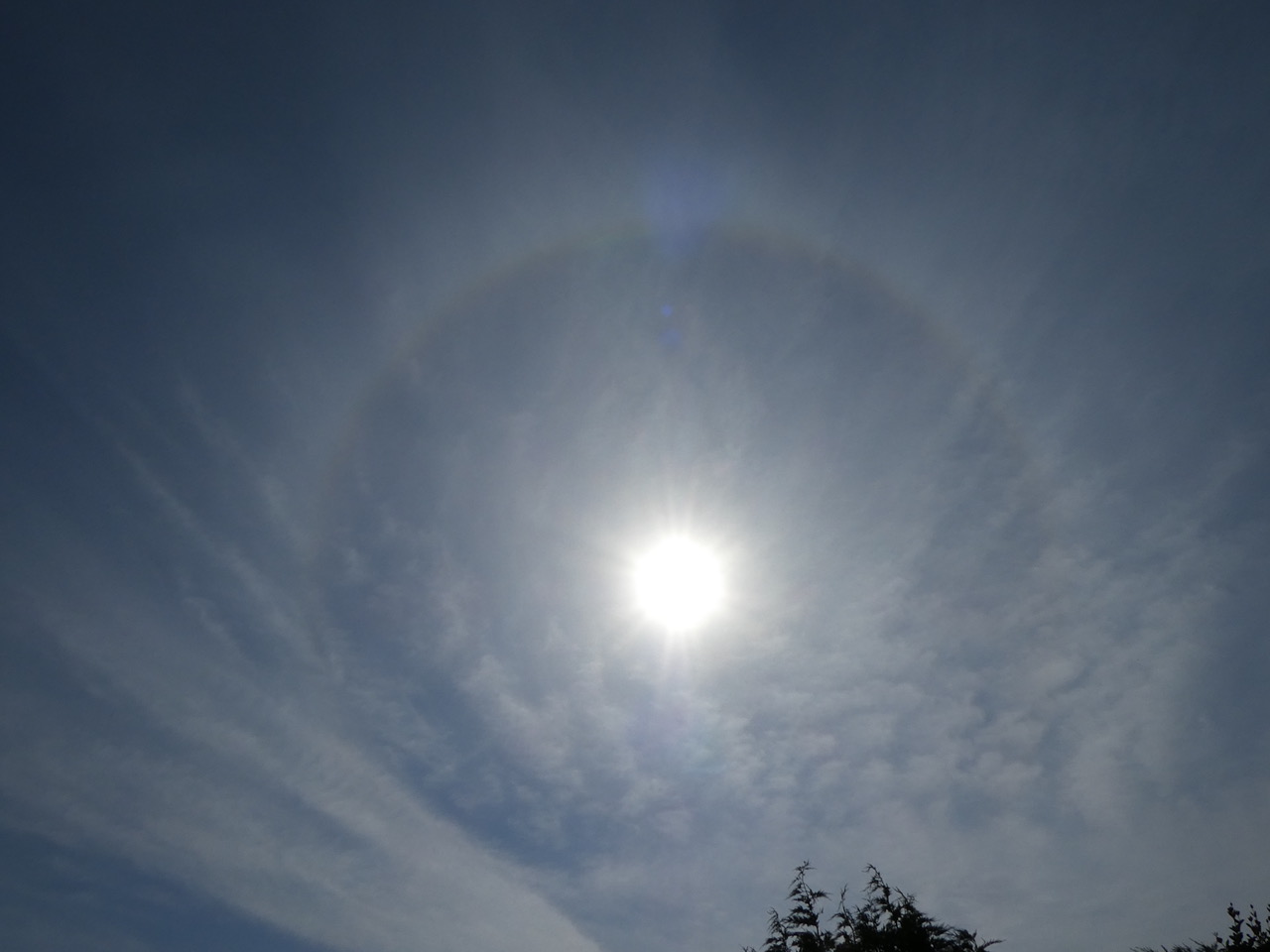 Fwd: Sun Dog Sheffield			
					</div><!-- .entry-content -->
		
		<footer>
		
		
		
					
					</footer><!-- .entry-meta -->
	</article><!-- #post -->
				
											
				
		
<hr class=